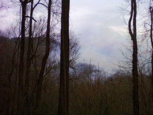 The view across the Pacolet Valley from my porch 2/2/2009